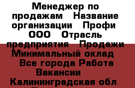 Менеджер по продажам › Название организации ­ Профи, ООО › Отрасль предприятия ­ Продажи › Минимальный оклад ­ 1 - Все города Работа » Вакансии   . Калининградская обл.,Пионерский г.